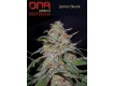 Lemon Skunk - DNA