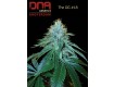 The OG#18 - DNA