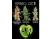 Special Mix 2 - Eva Seeds