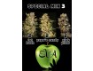 Special Mix 3 - Eva Seeds