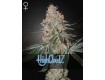 HighCloudZ - Green House Seeds