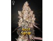 Holy Snow - Green House Seeds