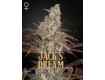 Jack´s Dream - Green House Seeds