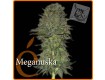 Meganuska – Elite Seeds