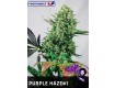 Purple Haze #1 Femeninas - Positronics