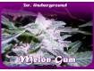 Melon Gum – Dr. Underground