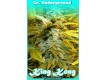King Kong – Dr. Underground