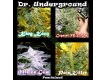 Killer Mix – Dr. Underground