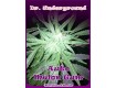 Auto Melon Gum – Dr. Underground