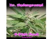 U-Pink Kush – Dr. Underground