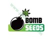 Big Bomb – Bomb Seeds