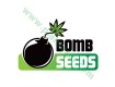 THC Bomb – Bomb Seeds