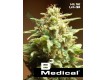 B3 Medical – Pure Seeds