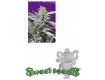 S.A.D. Sweet Afgani Delicious Auto Sweet Seeds