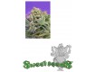 Sweet Cheese F1 Fast Version Sweet Seeds