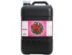 BC Bloom Technaflora 