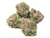 White Runtz - Houseplant Seeds - 22% THC