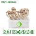 venta online pan setas mc kennaii