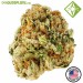 Grapes & Cream - Houseplant Seeds - 34% T.H.C.