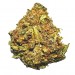  Mini Buds Tutti Frutti 15gr. La Cordobesa