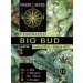 Big Bud – Vision Seeds