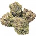 White Runtz - Houseplant Seeds - 22% THC