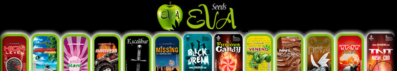 eva female seeds
