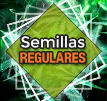 Semillas regulares