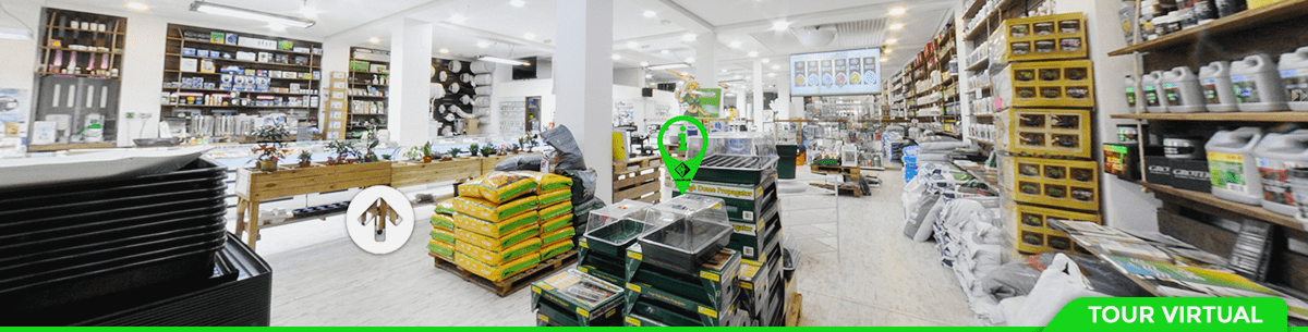 Visita virtual Google
